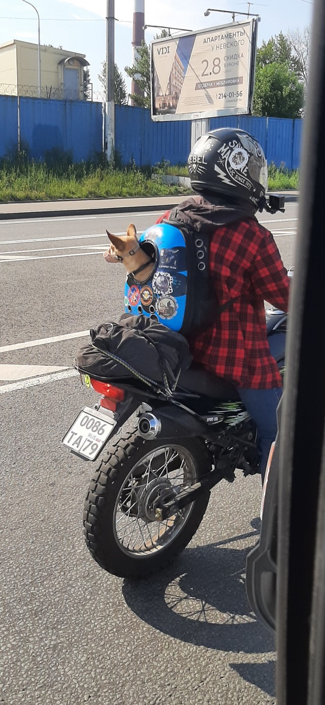 Всё-таки четверг