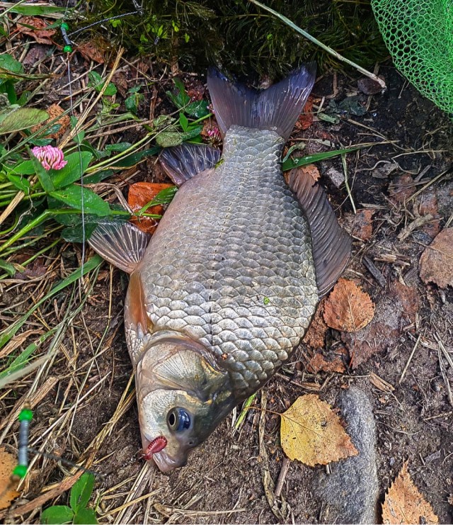 Ходил на рыбалку