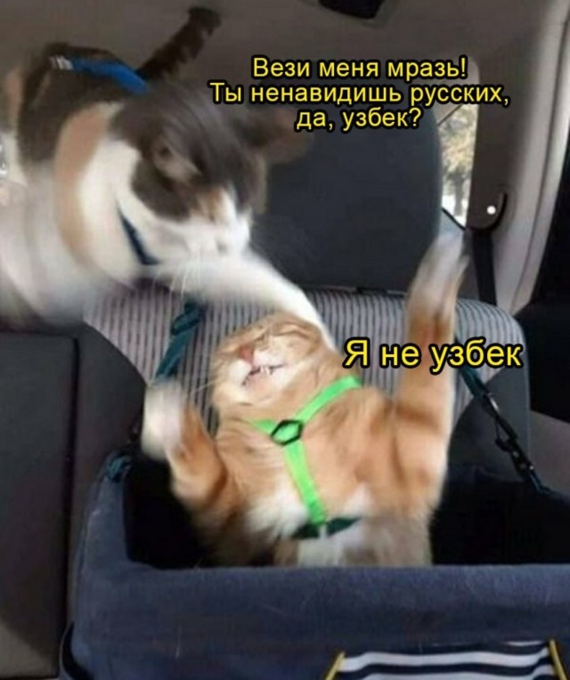 Оригинальная озвучка эпизода из фильма "Пятый элемент"