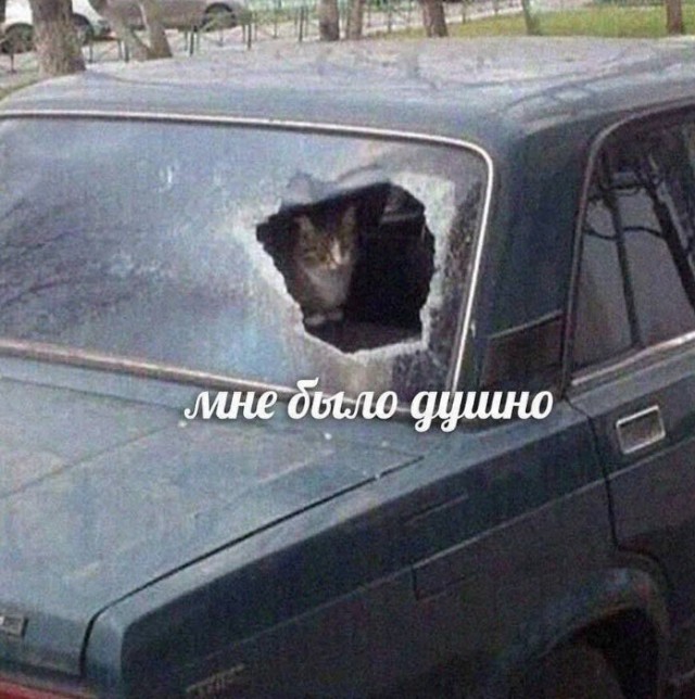 Всего понемногу. От 11.12.23