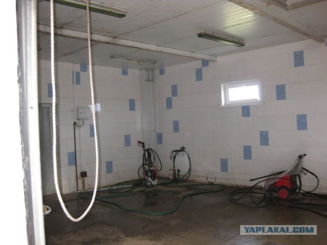 Массажный салон "Муму"