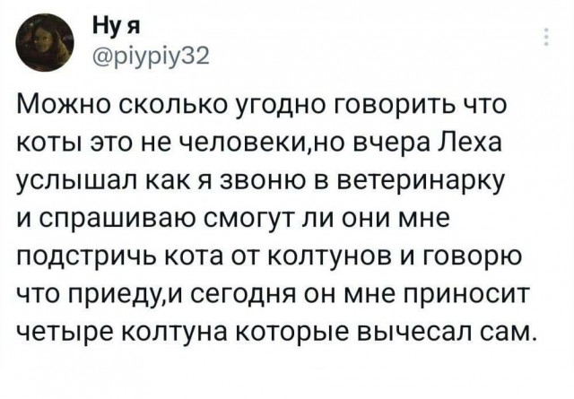 Так себе картинки 10.04.24