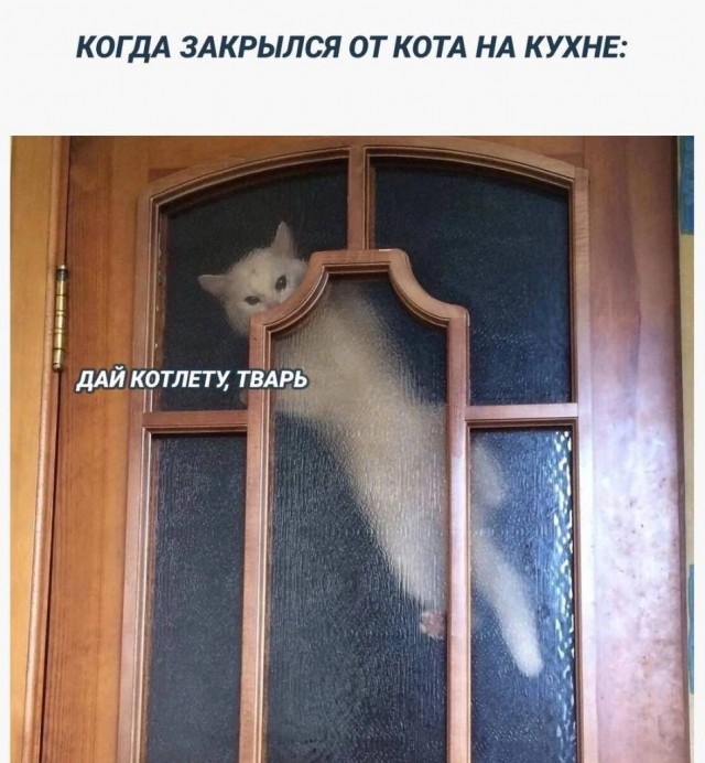 Всего понемногу. От 27.09.24