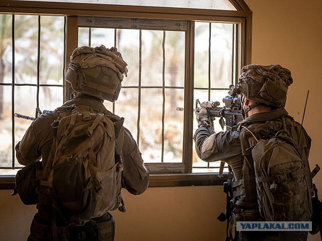 Солдаты израильской армии начали целенаправленно убивать женщин.