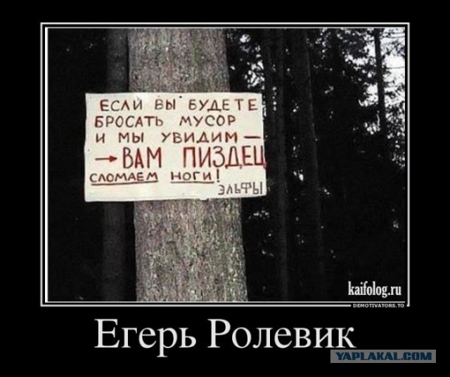 Раскопки архивов картинок.