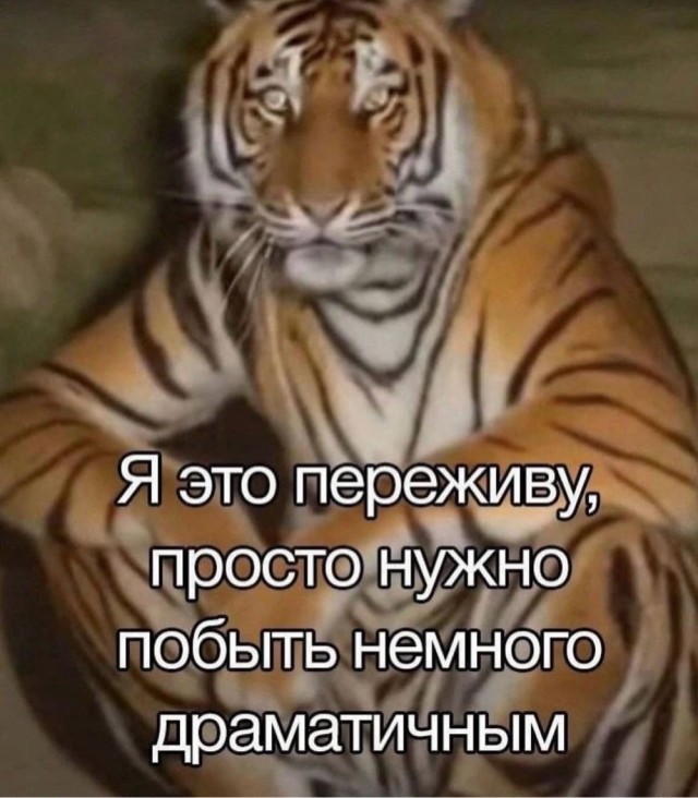 Веселое настроение в картинках (05.08.2025)