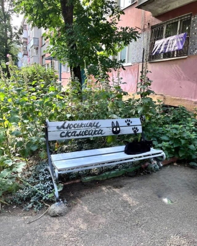 Понятно, кто во дворе главный