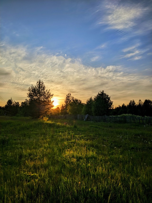 Моя мобильная фотография.