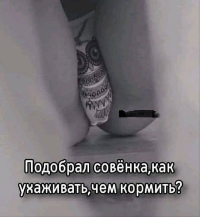 Так себе картинки 16.12.25