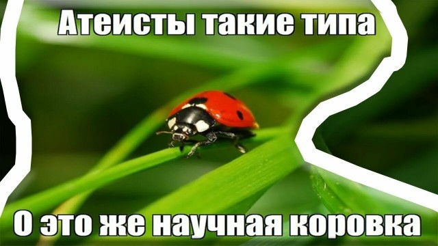 Всех убью, один останусь!