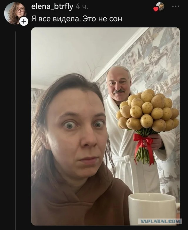 Лиза молодец.