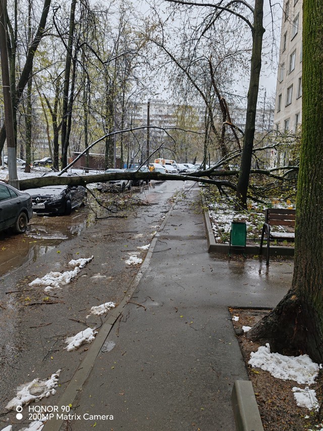Жилищник