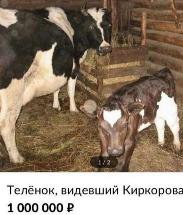 Веселое настроение в картинках (30.04.2026)