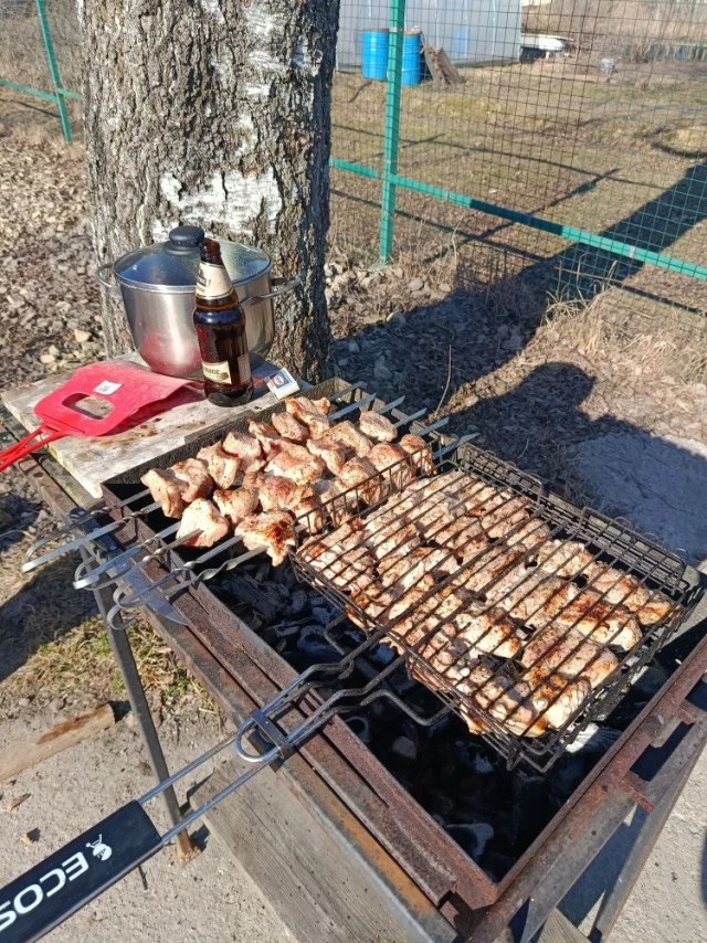 Первомай. Шашлык программиста