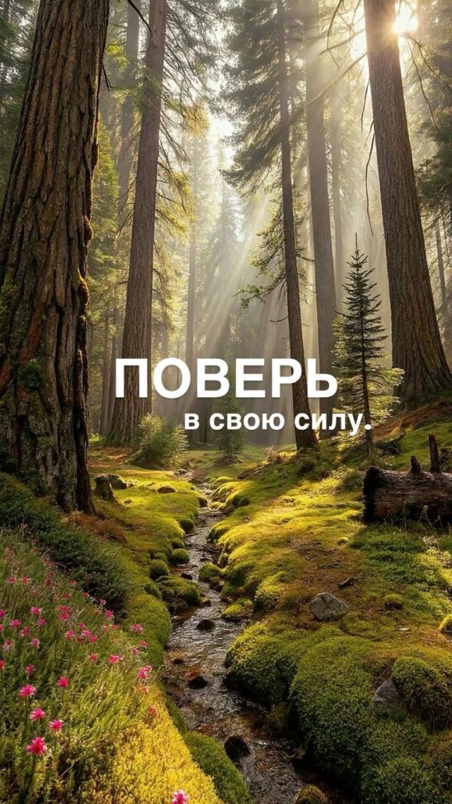 Прикольные и просто красивые картинки 03.07.2026