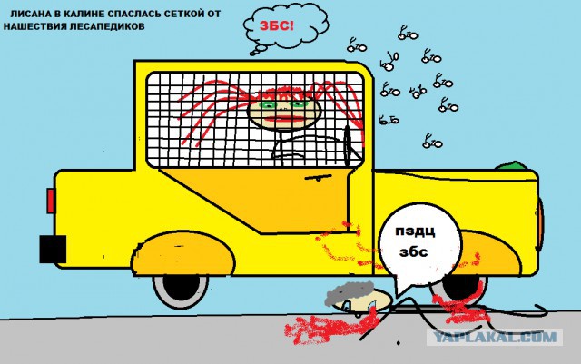 Про эмансипацию...