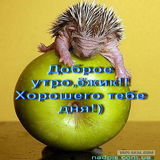 Чёрт, чёрт, чёрт!