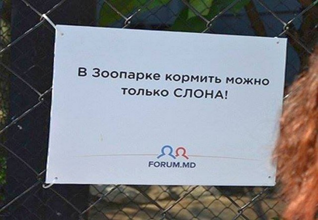 Молдавский зоопарк рекомендует…