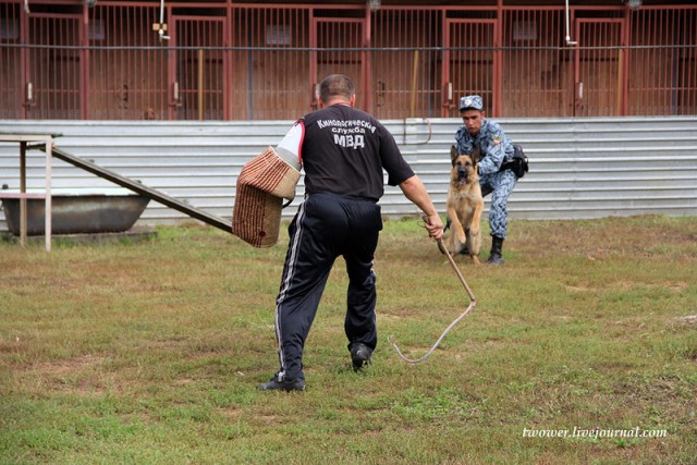 Центр кинологической службы Упр-ния на транспорте
