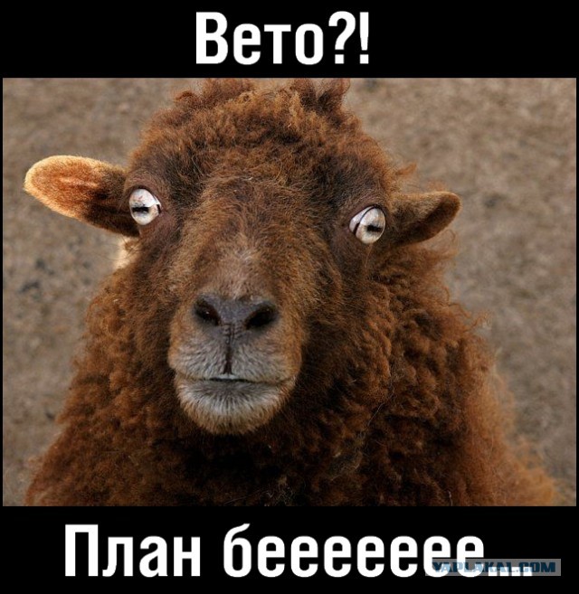 Заседание Совбеза ООН