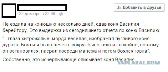 Может это кот, а не конь?