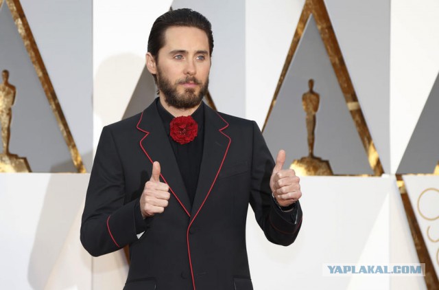 Самые яркие моменты  и платья  «Оскар 2016»