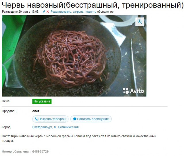 Объявления с Авито уровень №2