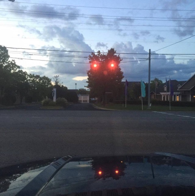 "Ёжик, где же ты? Я скучаю."