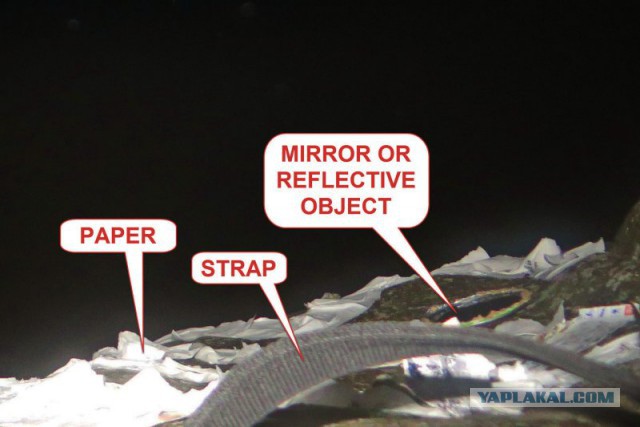 Исчезновение и трагическая гибель Лисанн Фрон и Крис Кремерс