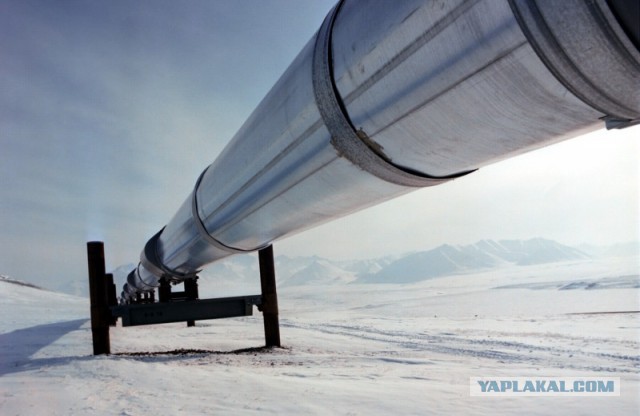 Американская нефтяная компания заявила об открытии крупного месторождения нефти на Аляске