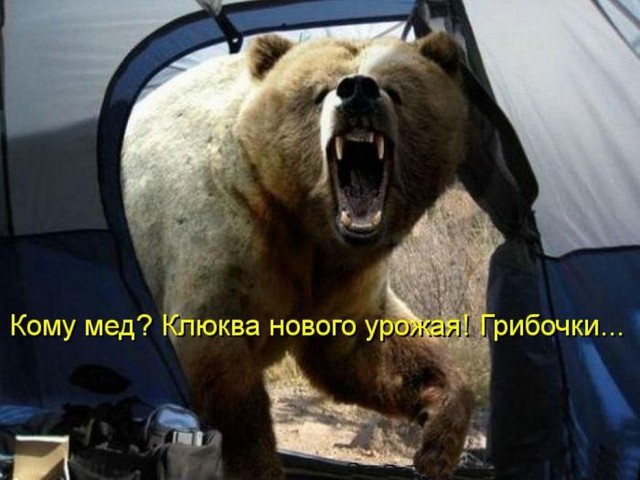Картинки из инета