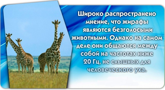 56 неожиданных фактов о большинстве которых вы не знали.