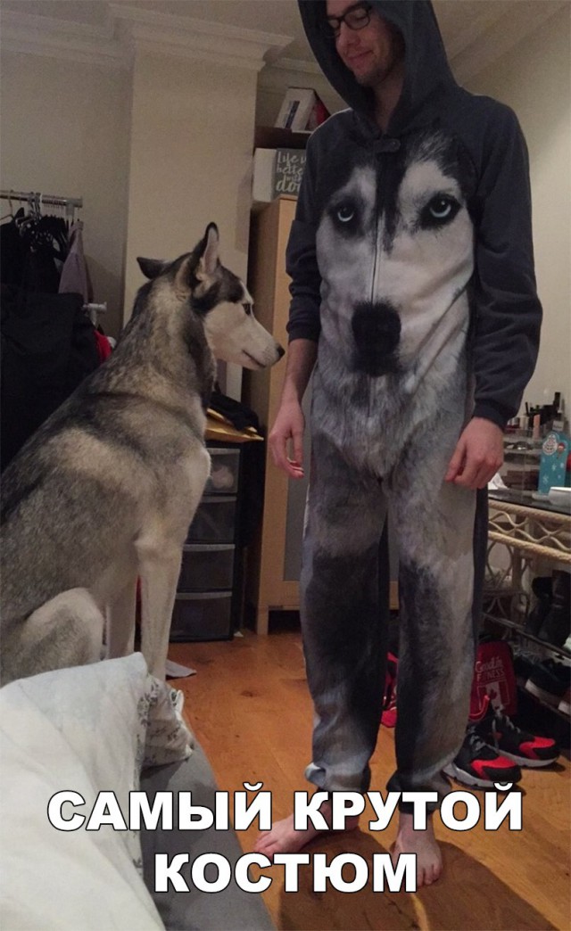Нестандартный юмор