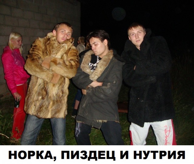 Скотсети и прочие интернеты 13.06.18