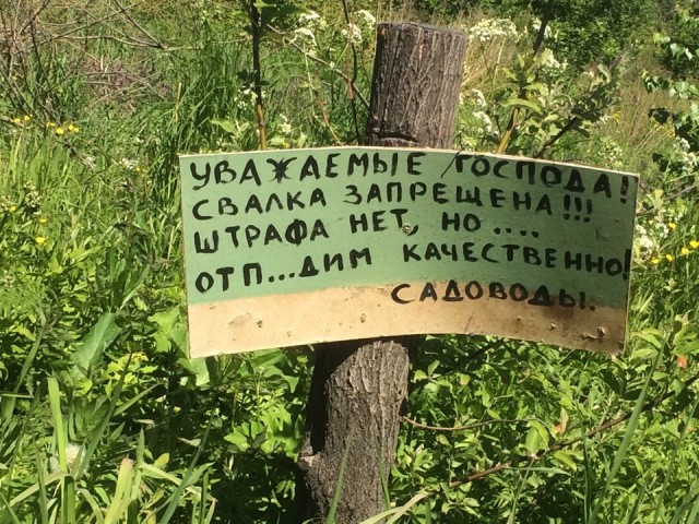 Смешные объявления, надписи и вывески