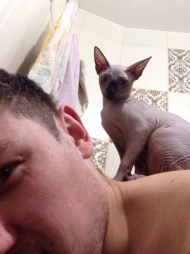Немного милоты