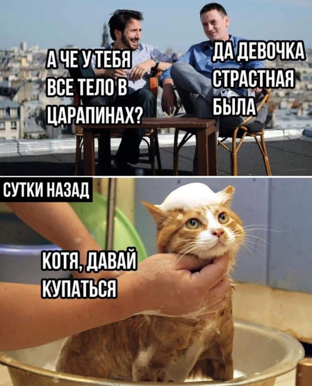 Немного картинок для настроения