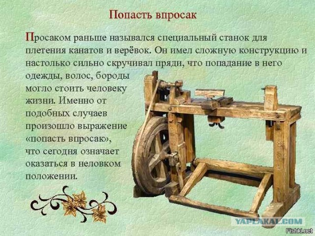 Мэр Геленджика Алексей Богадистов забыл выключить прямую трансляцию и обругал свою помощницу в эфире