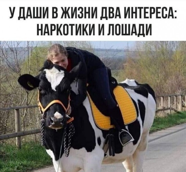 Забавные шутки, картинки и фразы из этих ваших интернетов