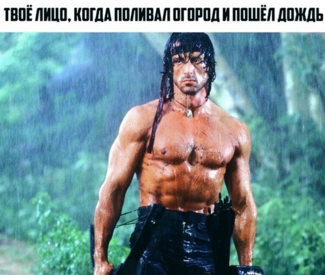 Немного картинок ниочём