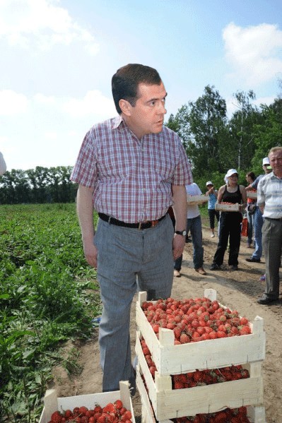 Как Жириновский на клубнике был