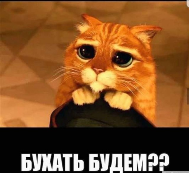 Бредзона 25.11.20