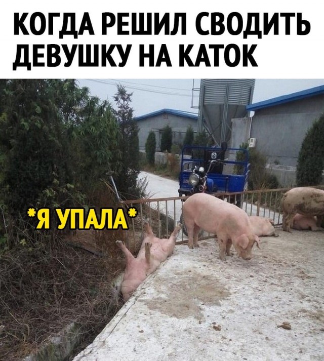 Картинки разнообразные. На злобу дня и на доброту (15.12)