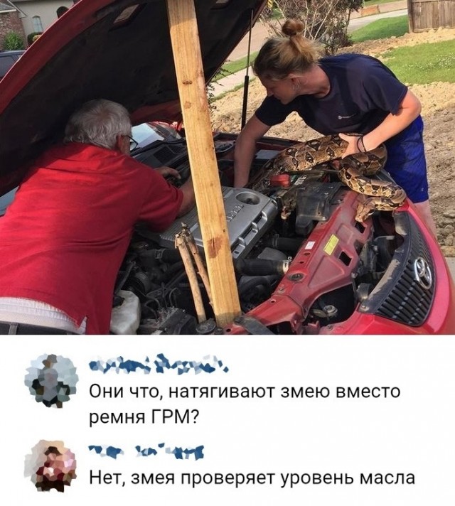 Весёлый полтишок 7.03