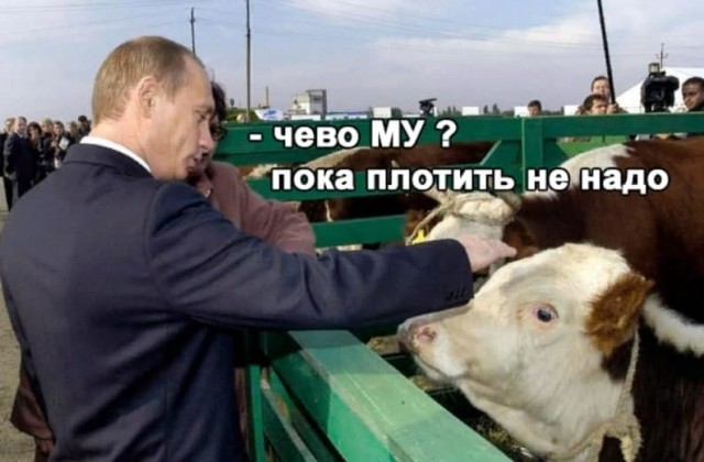 Прямая линия с Владимиром Путиным. Трансляция