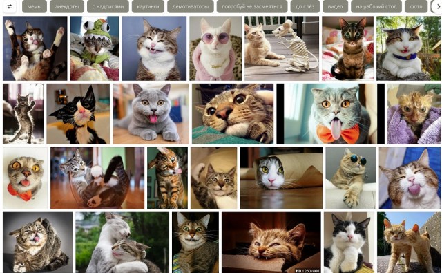 Разные котики