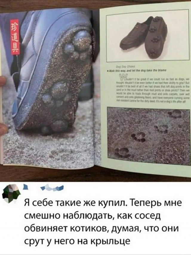 Картинки и мемы для настроения 26.08.2021