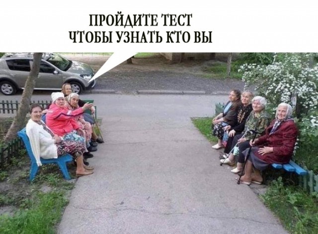 Весёлый полтишок 26.09