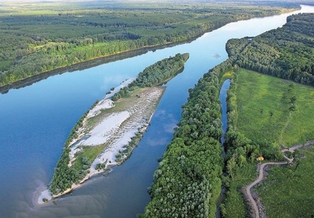 Картинки и мемы 08.10.2021