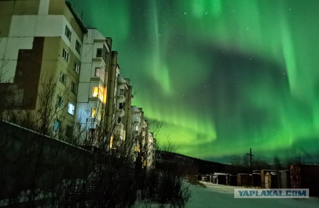 Этот Израиль меня доканает